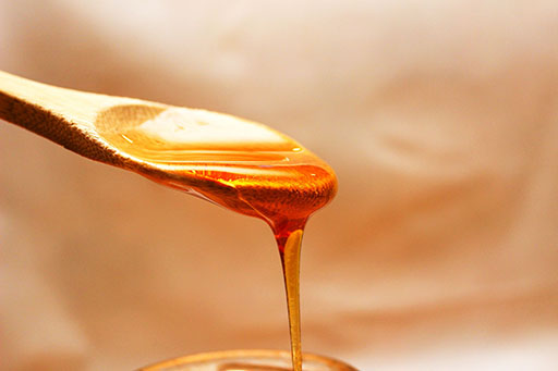 Miel de agave